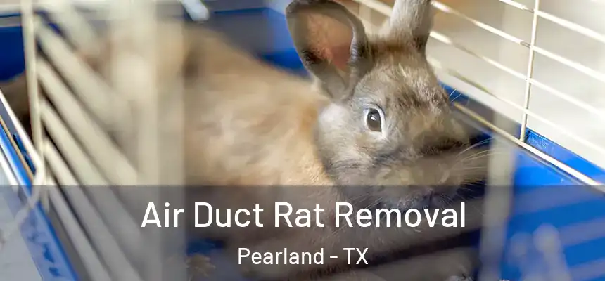 Air Duct Rat Removal Pearland - TX