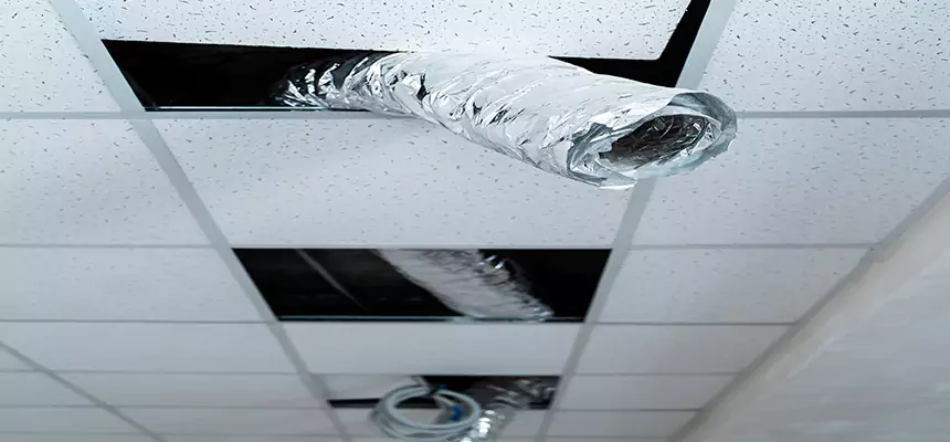 Affordable HVAC Sanitizing After Pest Removal in Pearland