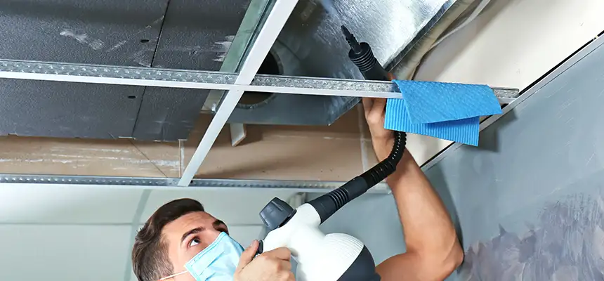 Our Air Duct Rodent Removal Services in Pearland, TX