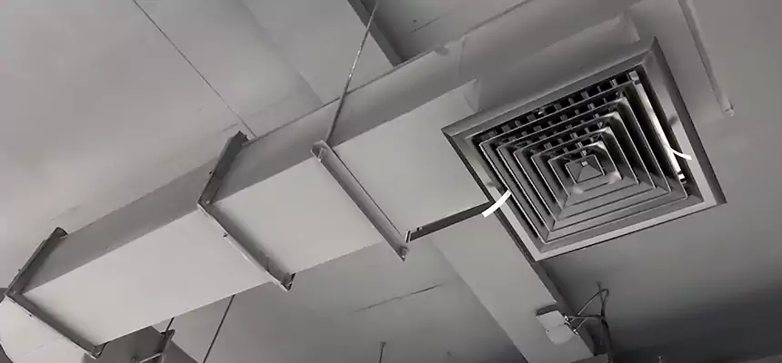 Our Pest Removal From Ducts Services in Pearland, TX