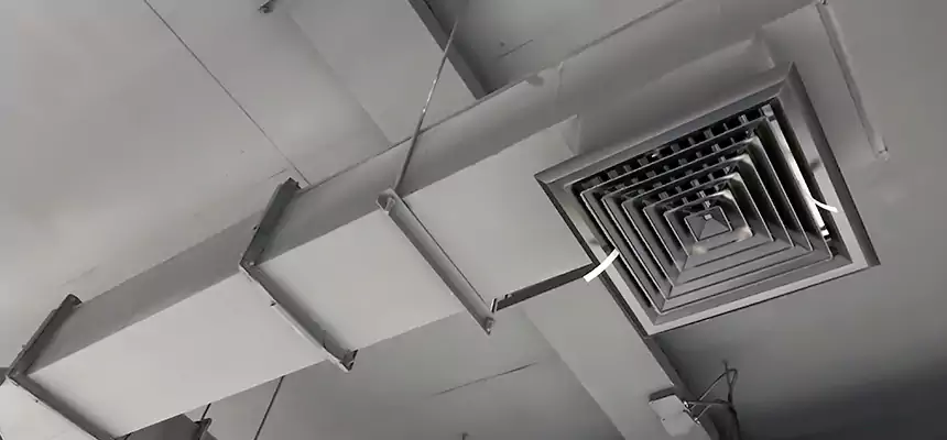 Our Rodent Droppings In Vents Services in Pearland, TX