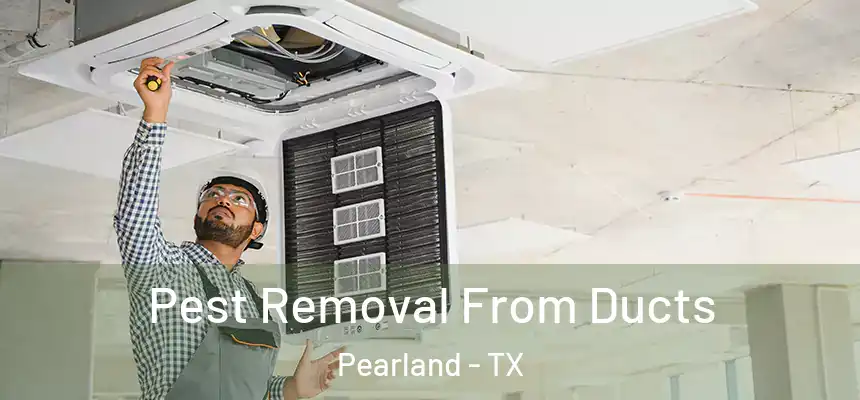 Pest Removal From Ducts Pearland - TX