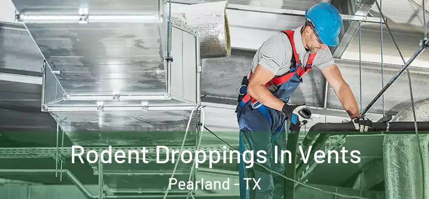 Rodent Droppings In Vents Pearland - TX