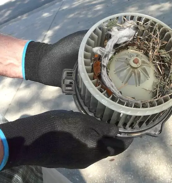 About Air Duct Mice Removal in Pearland, TX