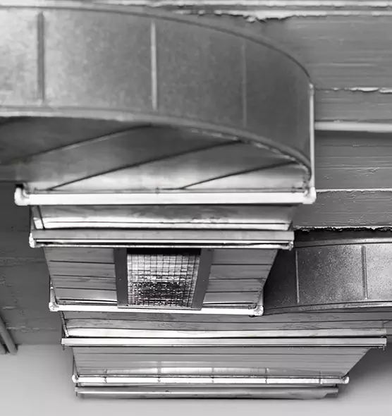 Professional Air Duct Pet Hair Removal in Pearland, TX