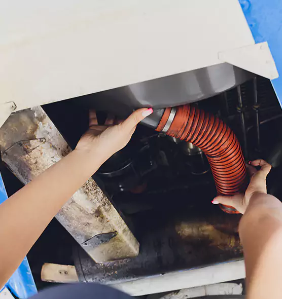 About Air Duct Virus Disinfection in Pearland, TX
