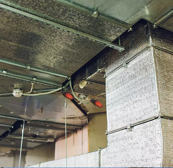 Why Homeowners & Businesses Trust Us in Pearland, TX?