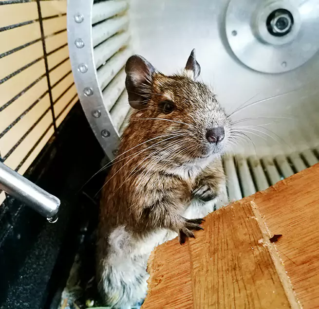 Why Homeowners & Businesses Trust Us Pearland, TX