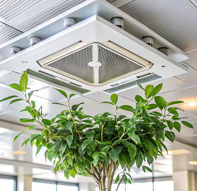 Why Homeowners & Businesses Trust Us in Pearland, TX?